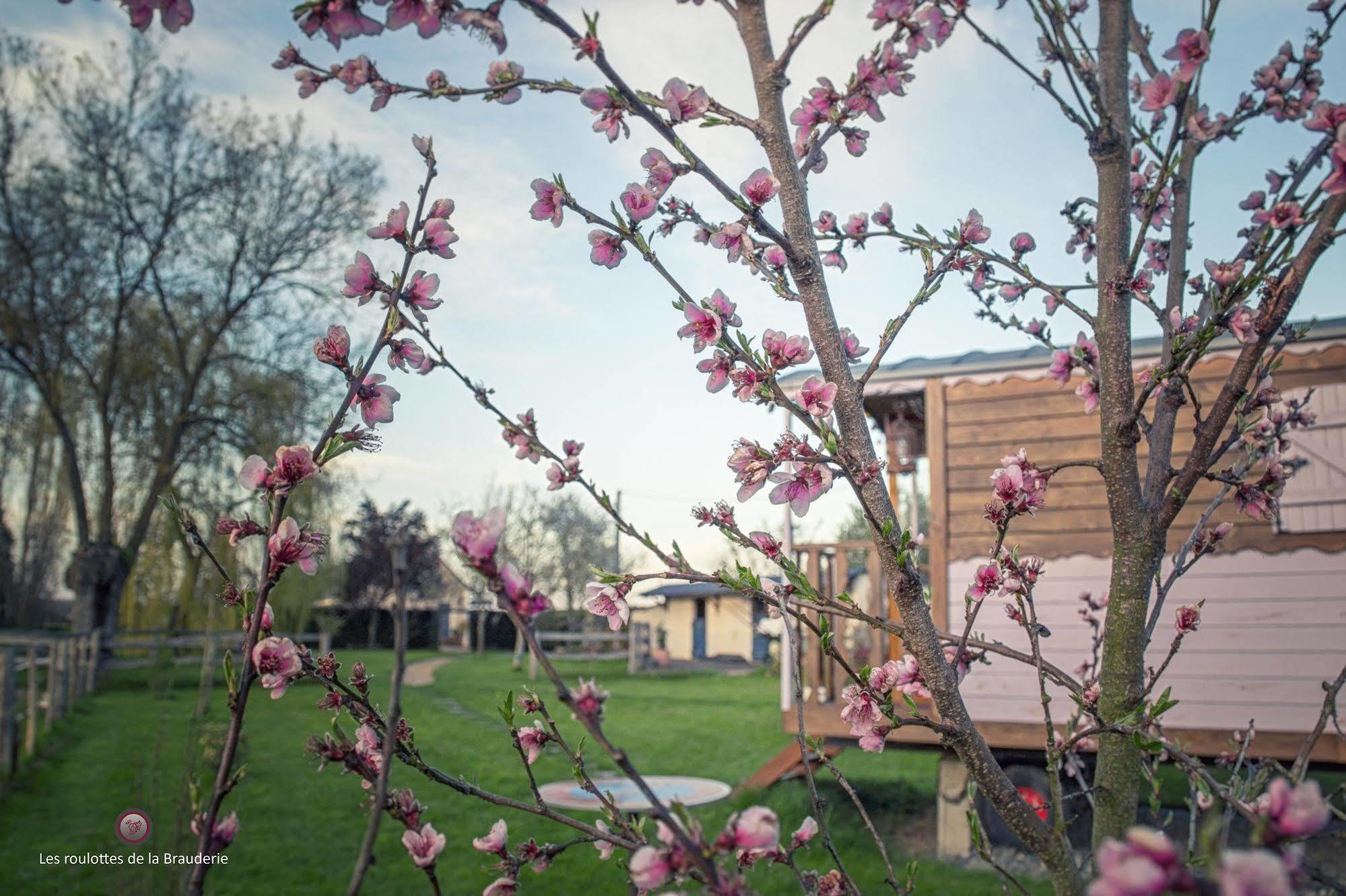 Les Roulottes De La Brauderie Villa Brissarthe ภายนอก รูปภาพ